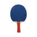 RAQUETA TENIS DE MESA SOFTEE 'P030'